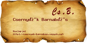 Csernyák Barnabás névjegykártya