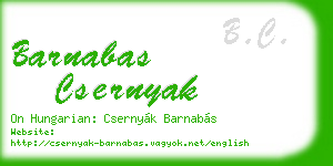 barnabas csernyak business card