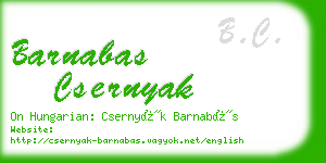 barnabas csernyak business card